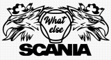 Autoaufkleber Scania what else