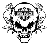Aufkleber: Harley Davidson Skull